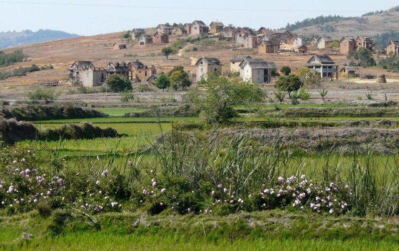 MA11002 copie.jpg